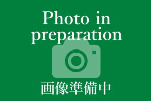 豊島区 売アパート 4180万円